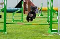 3T3I6346_3983 Kopie